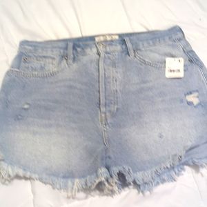 NWT Free People shorts size 32 or size 14